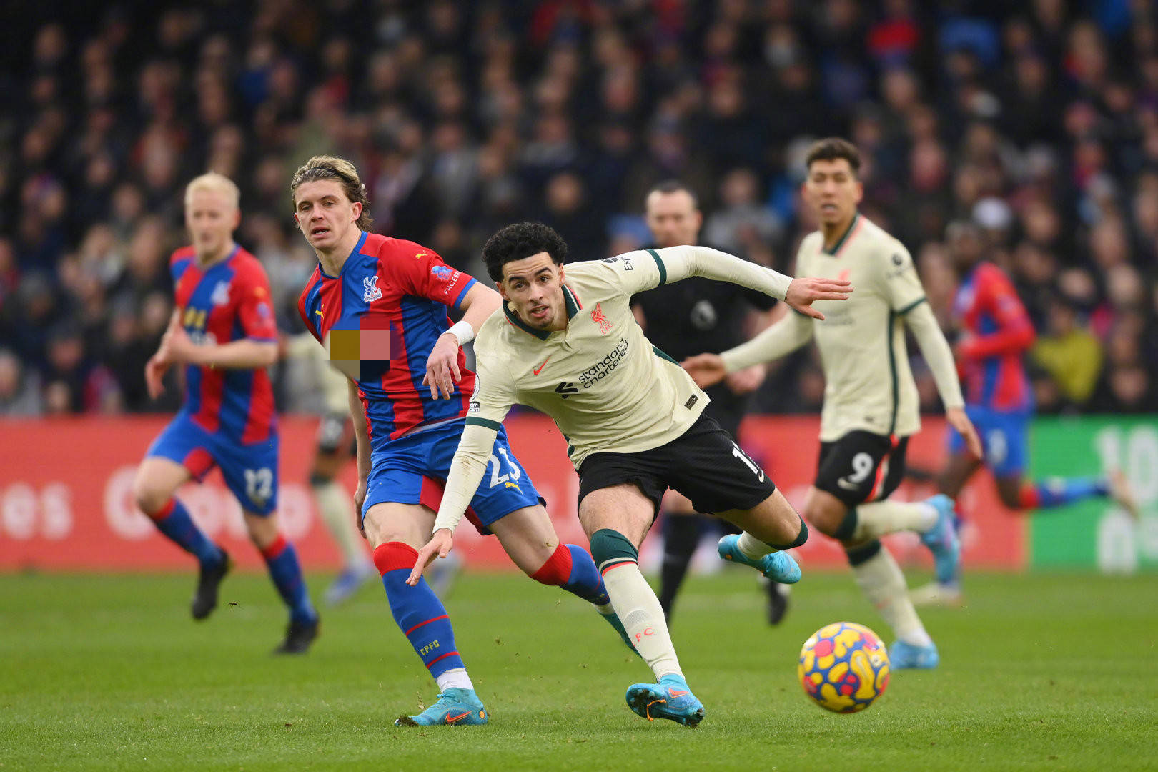 这场失利也 这场失利也