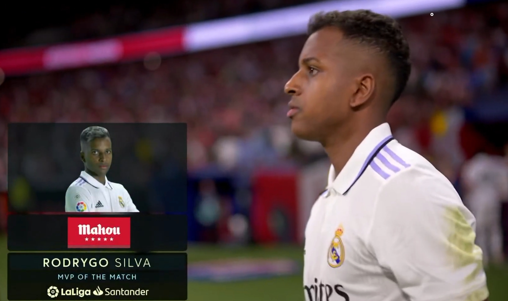 两人并不是 两人并不是