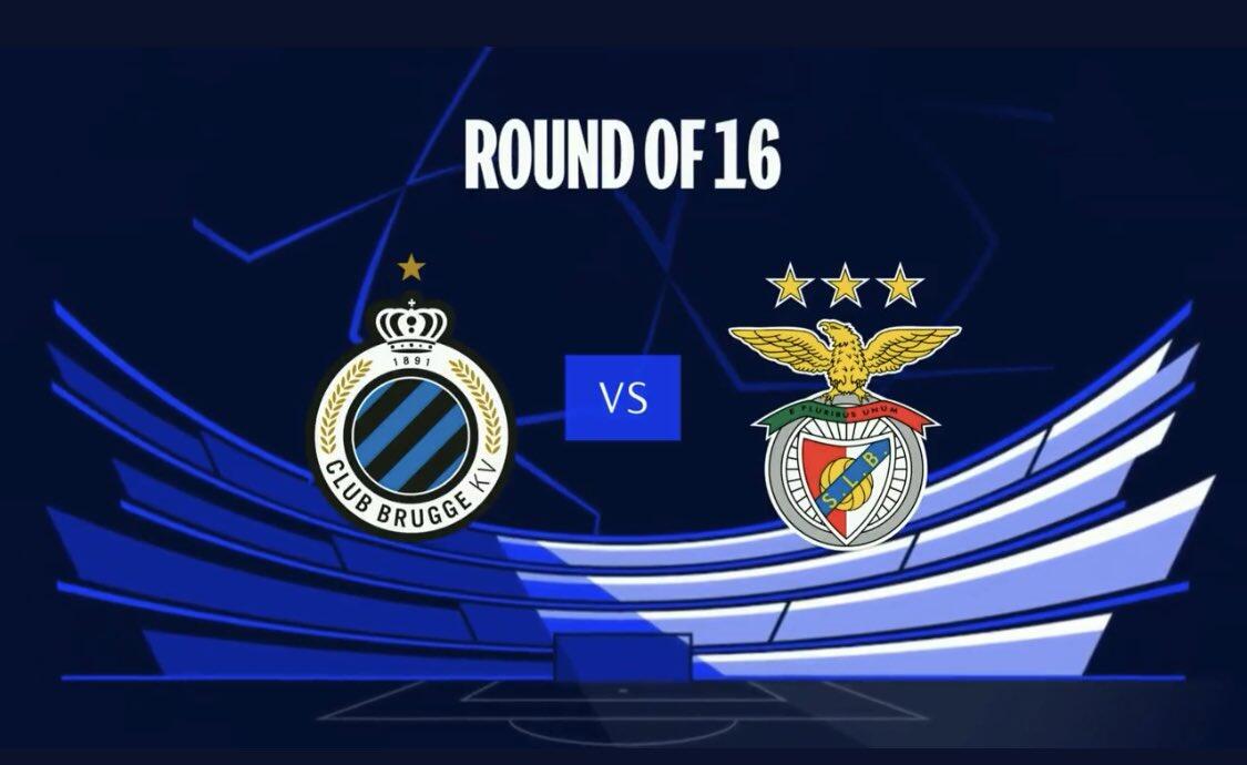 会展体育中 会展体育中